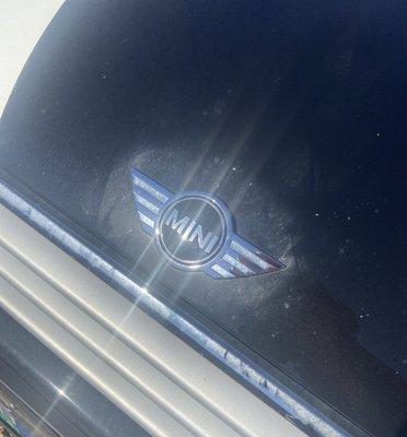 Washed the hood, minus the badge?