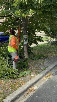 Second Chance Landscape