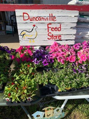 Duncanville Feed
