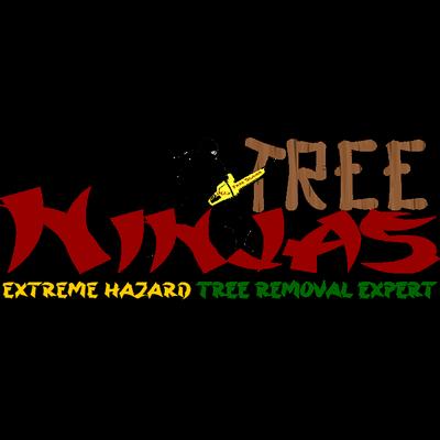 Southern Tree Ninjas