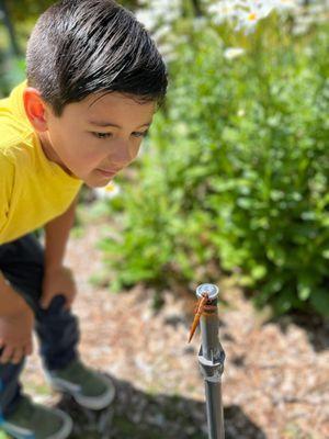 Montessori School of Oceanside