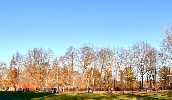 Dog park, people playing with doggos or... dogs playing with people...