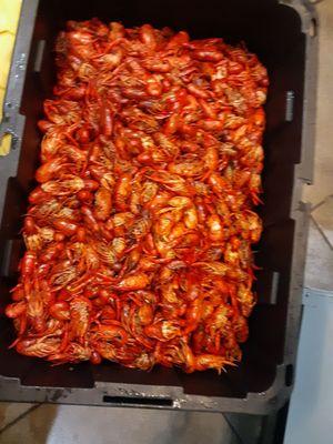 TNT Seafood Restaurant & Bar