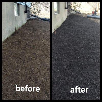 Pineda Landscaping Services