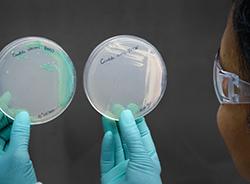 Air Technology Consultants