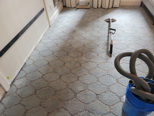 NY Steam Clean-New York's Top Rated Carpet Cleaners