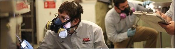 Bug Masters Exterminating