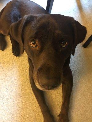 Westside Outdoorsman