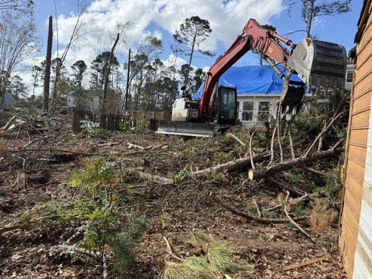 Southern Roots Tree Services