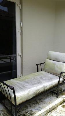 Completely moldy after only one month.