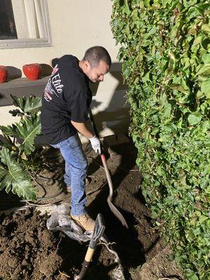 Digging up flower bed to install sewer clean-out.