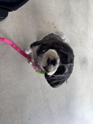 This is after I fixed it the best I could.