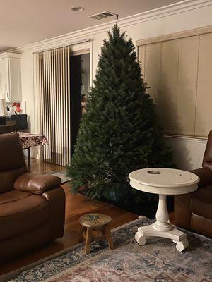 Lamb's Christmas Trees