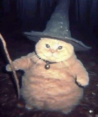 Brier Elementary School