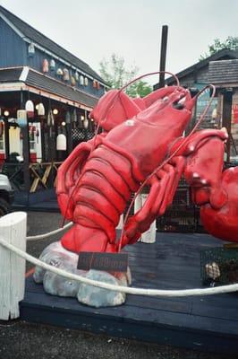 Birch Point Accounting