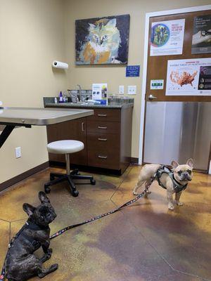 Laurel Oaks Animal Hospital