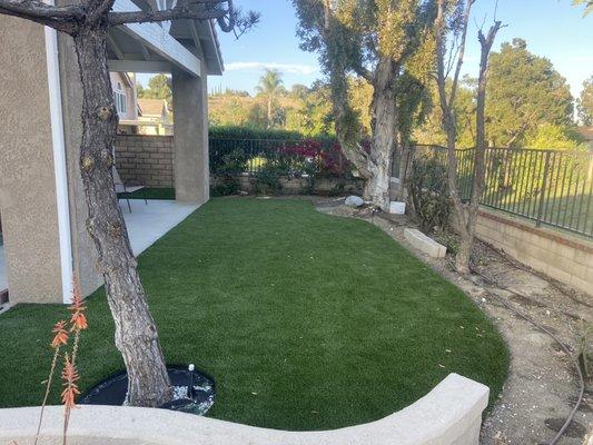 Professional Greenscape