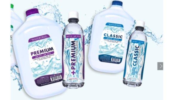 Water Tree Sugar land