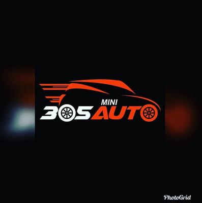 305 Miniauto