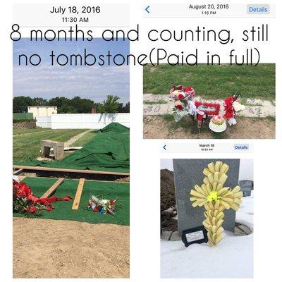 8 months and counting without a tombstone We just want what we paid for!!! Bad Business !!!!