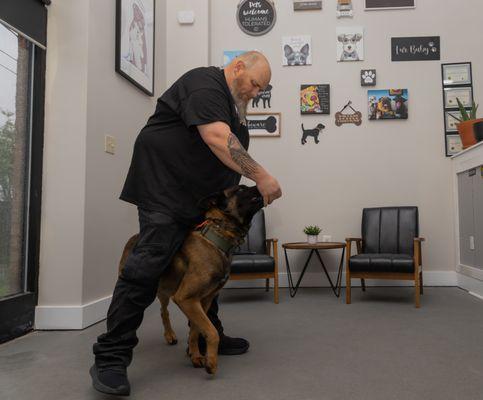 David working several dogs to show us different techniques.