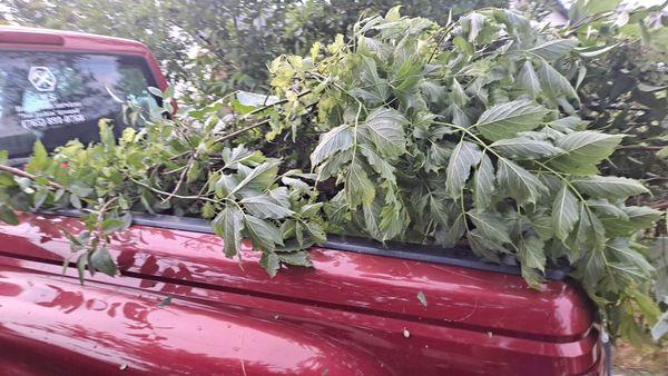 JlS Handyman Services