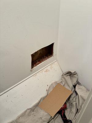 Ace Animal Removal and Aone Wild Life Abatement