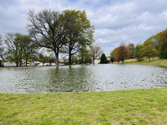 Sam Nelkin County Park Dog Run