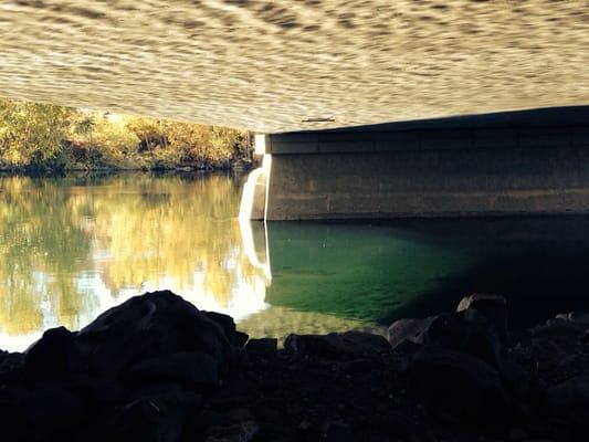 Photo by Barbara Oswald