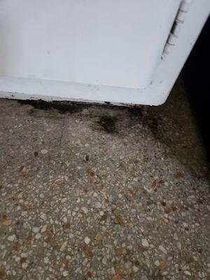 Gibson Group Managment