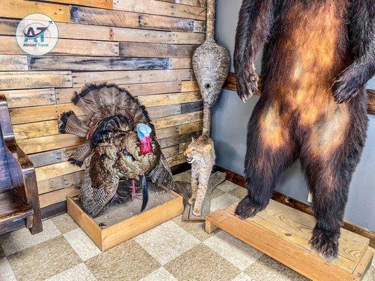 Wildlife Decorations