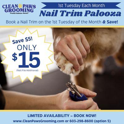 Clean Paws Grooming