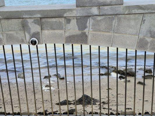 Pilgrim Memorial State Park