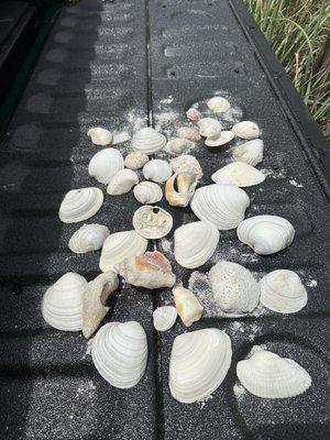 Gasparilla Island Lighthouse