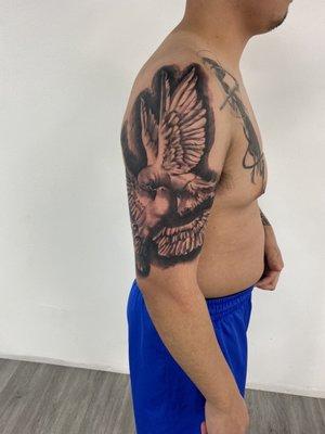 Dove tattoo @donfelipetattoo