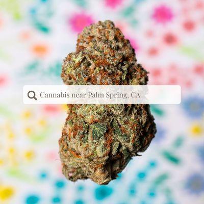 Find us today by visiting Kushellainc.com