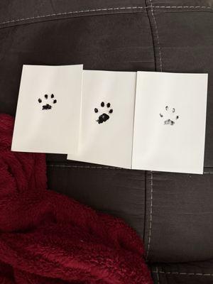 The Peaceful Journey