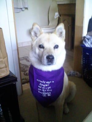 my family went to hawaii, and i i got was this lousy bandanna.
