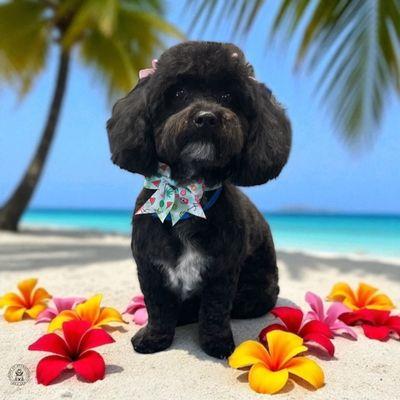 7.26.2025 Bath & Tidy