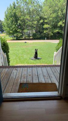 Perspective K9