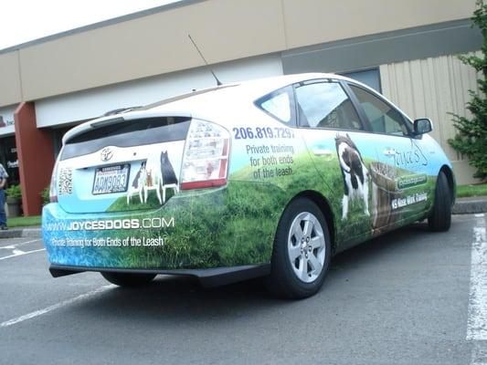 Nose Work Training Classes and Private Training for both ends of the leash.