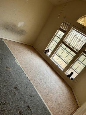 Fully Clean Cleaning Services