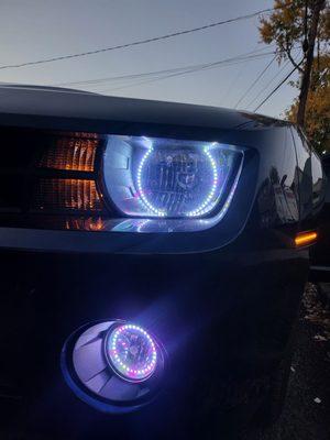 Broke led after only a year