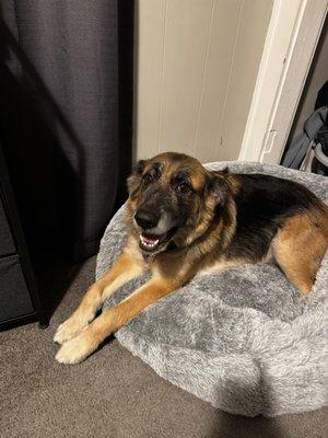 Greystone Veterinary Hospital