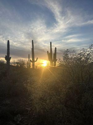 Colossal Cave Riding Stables