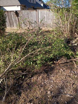 Multiservices Miranda