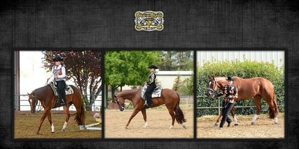 Lisa is a avid equestrian and supports the American Quarter Horse Association. Ask her about the 30-year fixed Hobby Farm loan.