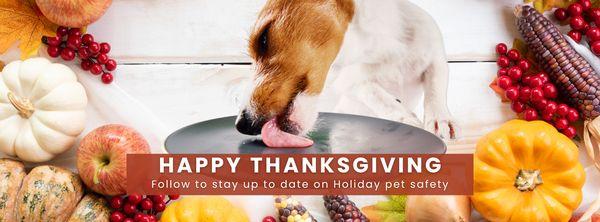 Cat & Dog Hospital of Portland