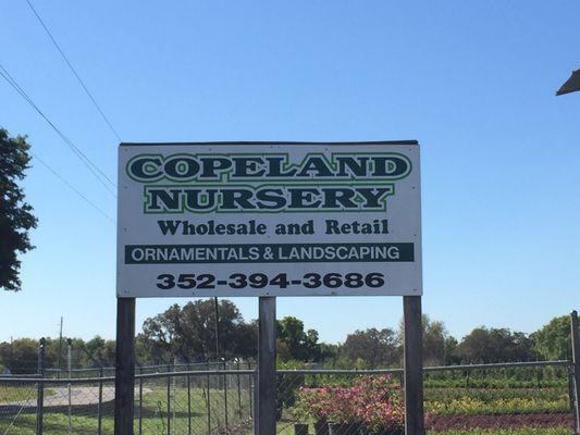 Copeland Nursery