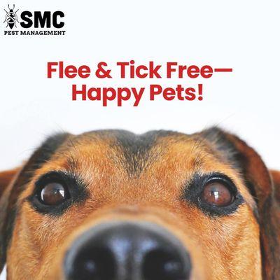 SMC Pest Management